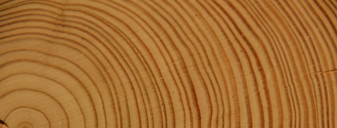 Tree-ring width chronologies: An overview of their use as climate