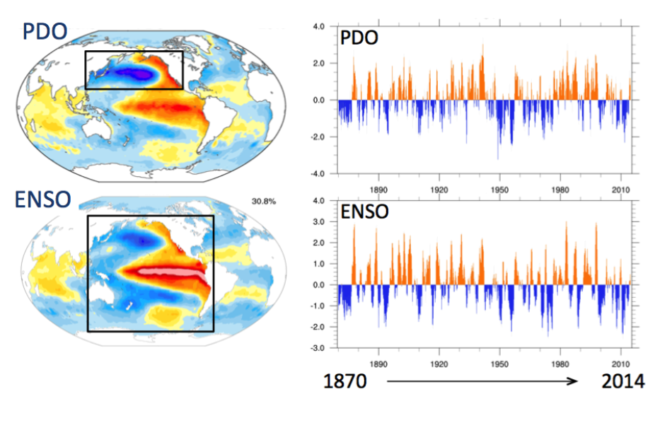 Pacific Decadal Oscillation (PDO): Definition and Indices | Climate Data  Guide UPSC