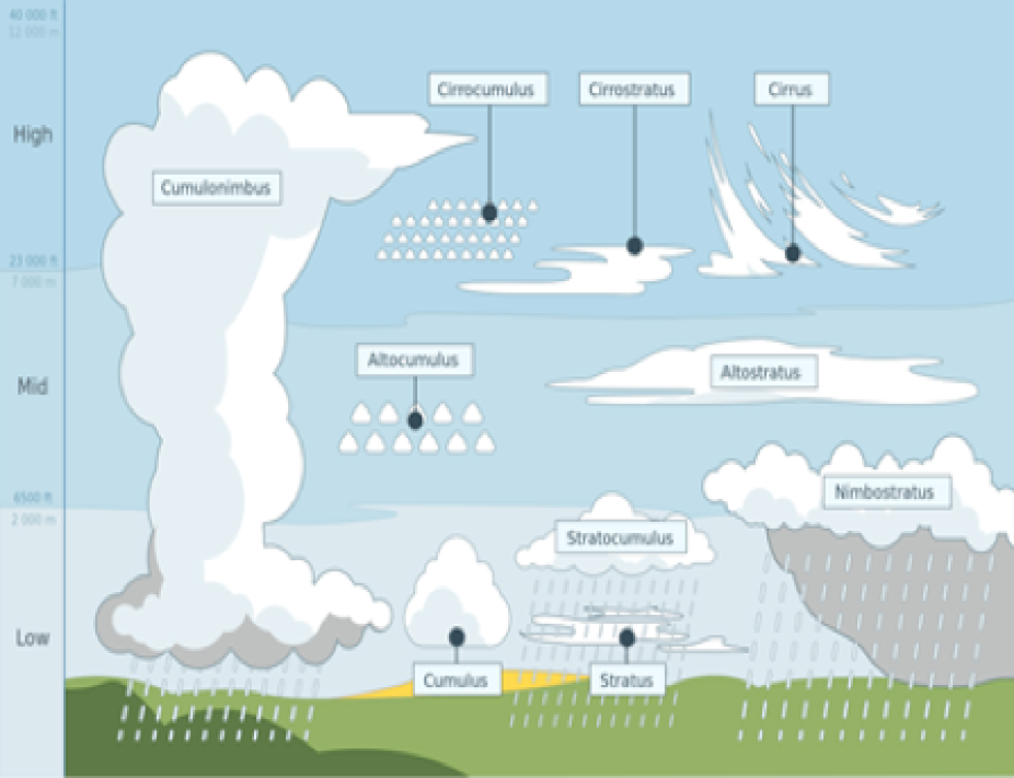 Area averaged cloud base heights (CBH) and maximum cloud top heights