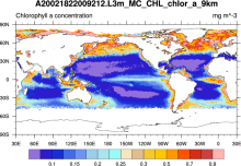 SeaWIFS: ocean bio-optical and carbon properties