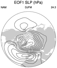 Hurrell wintertime SLP-based Northern Annular Mode (NAM) Index