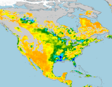 Soil Moisture Data Sets: Overview & Comparison Tables