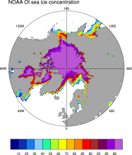 Sea Ice Concentration data from NOAA OI
