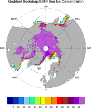 Sea Ice Concentration data from NASA Goddard and NSIDC based on Bootstrap algorithm