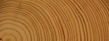 Cross section of a tree trunk showing alternating light and dark layers of the tree rings. from ucar scied, https://scied.ucar.edu/learning-zone/how-climate-works/tree-rings-and-climate credit pixabay