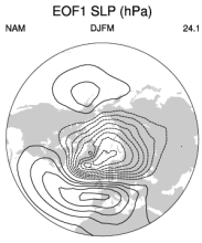 NAM Spatial Pattern (DJFM)