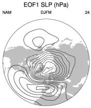 NAM spatial plot