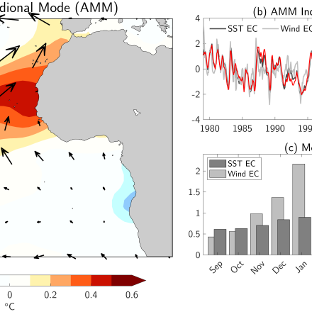 Figure 1: AMM illustration (contributed by D. Amaya)