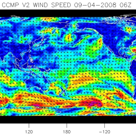 CCMP wind vector analysis (contributed by L. Ricciardulli)