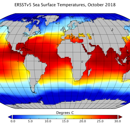 SST Data: NOAA Extended Reconstruction SSTs Version 5 (ERSSTv5)