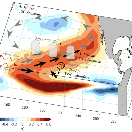 Meridional Modes and their indices