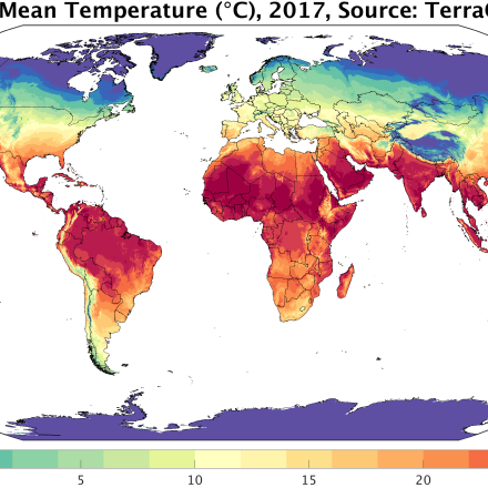 average annual temperatures in 2017 according to TerraClimate