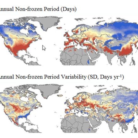 Annual non-frozen days and variability