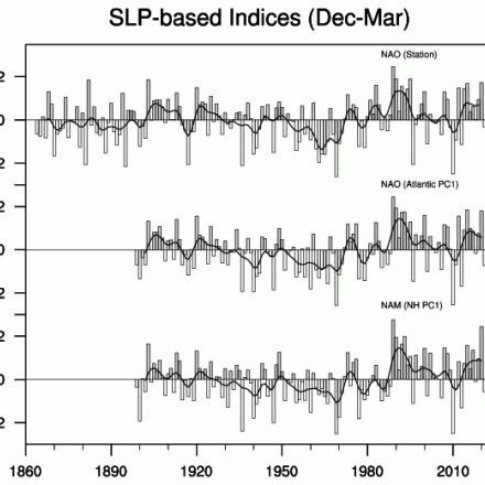 Time series of the various NAO and NAM indices. 