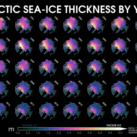 Composite maps of annual mean Arctic sea-ice thickness from 1979 to 2022. (contributed by Z. Labe)